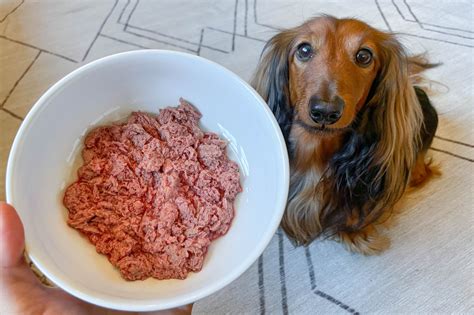 We feed raw dog food - For example: Days 1-3: Feed 25% raw, 75% of their previous food. Days 4-6: Feed 50% raw, 50% of their previous food. Days 7-9: Feed 75% raw, 25% of their previous food. By day 10, you should be able to feed 100% raw. Please note that not all dogs transition at the same rate. Some dogs may transition quickly without …